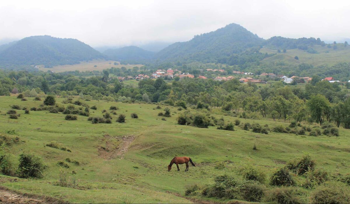 Commons' land in the Southern Carpathian Mountains, Romania