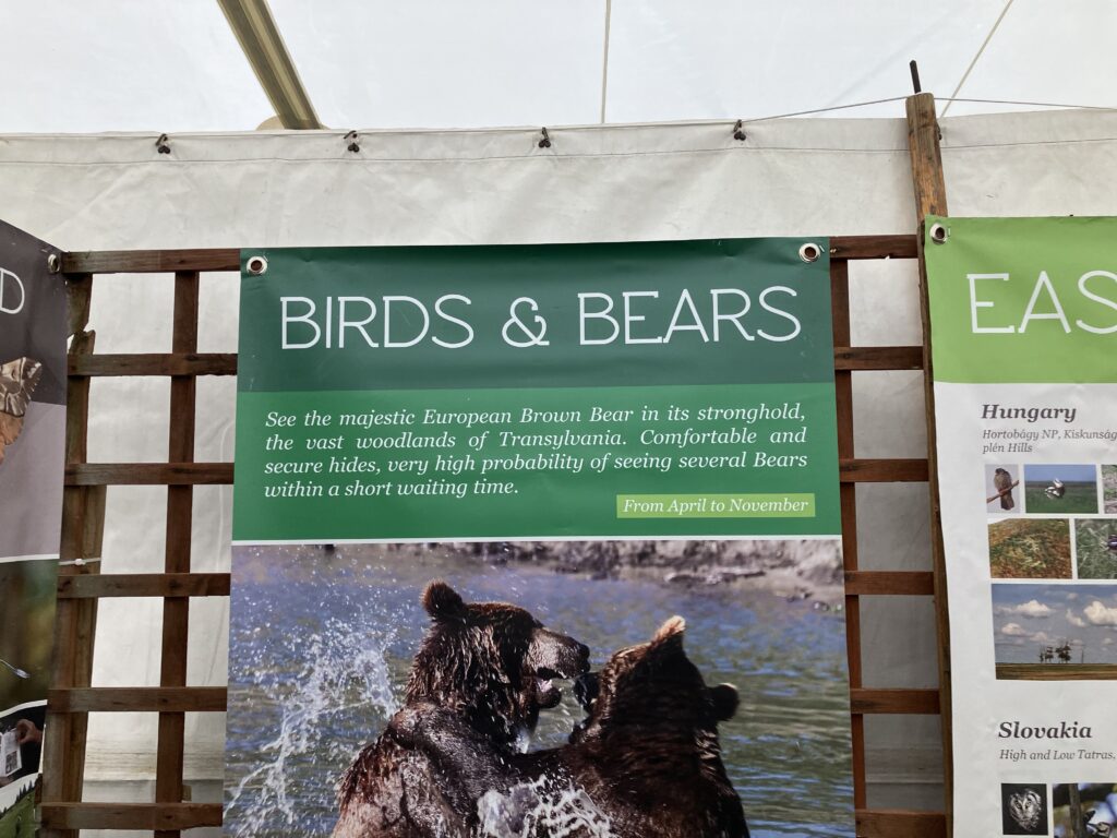 Tour sign - green background with bears in the foreground fighting