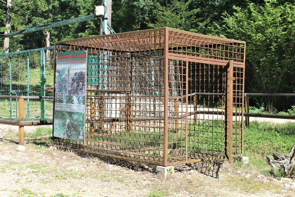 Bear cage exhibited in Libearty Sanctuary