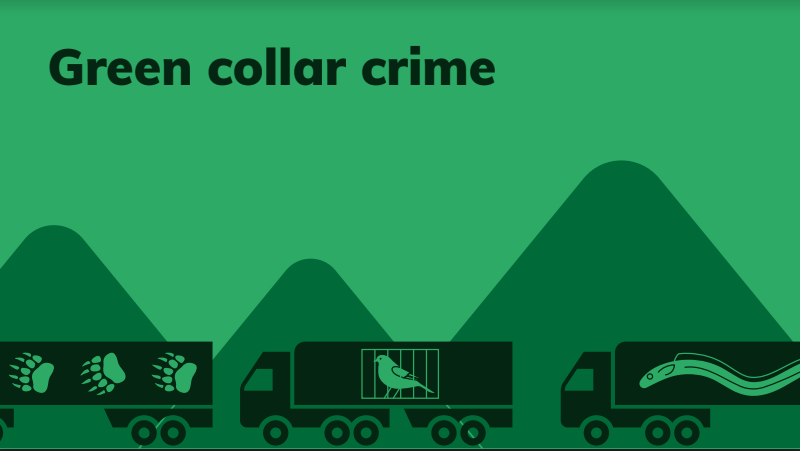 Green collar crime policy brief