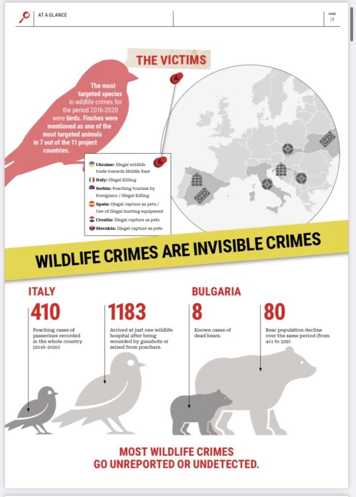 Wildlife as victims, SWiPE report