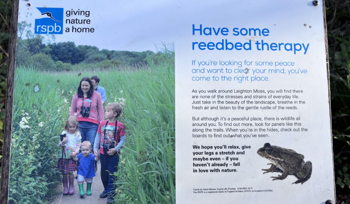 RSPB sign says 'Have some reedbed therapy'; features a family of 5 people walking through green reeds on a gravel footpath. Sign is a Leighton Moss RSPB reserve; photo credit Rosaleen Duffy