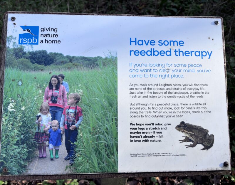 RSPB sign says 'Have some reedbed therapy'; features a family of 5 people walking through green reeds on a gravel footpath. Sign is a Leighton Moss RSPB reserve; photo credit Rosaleen Duffy